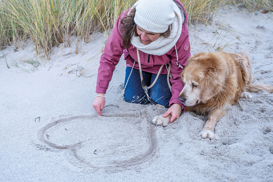 Pfoten im Sand Ostsee