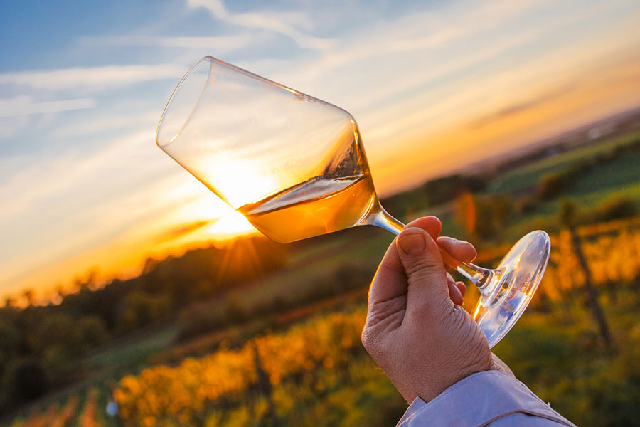Bio-Weinprobe im Amphorenkeller für Zwei
