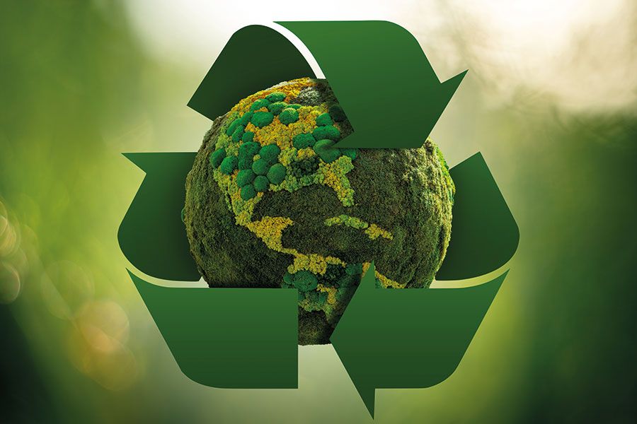 Recycling mit System mit Haaf Containerdienst